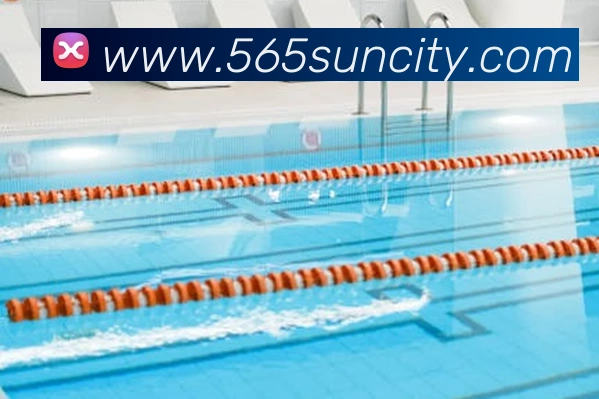 多媒体互动体验