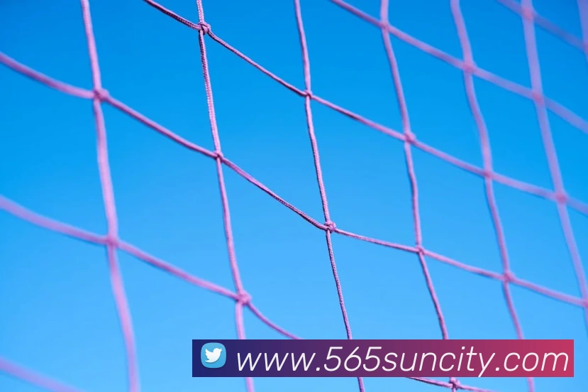 太阳城APP 高清赛事图